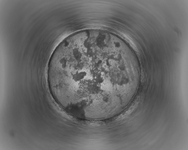 X0000112110899200908251208