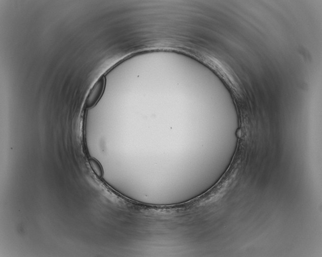 X0000112110900200908251208