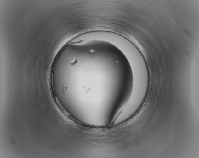 X0000112110901200908251208