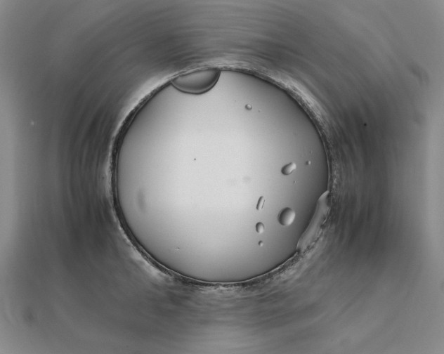 X0000112110902200908251208