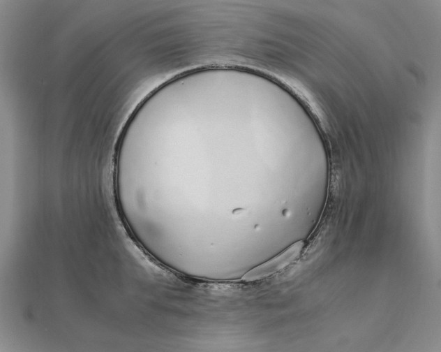 X0000112110903200908251208