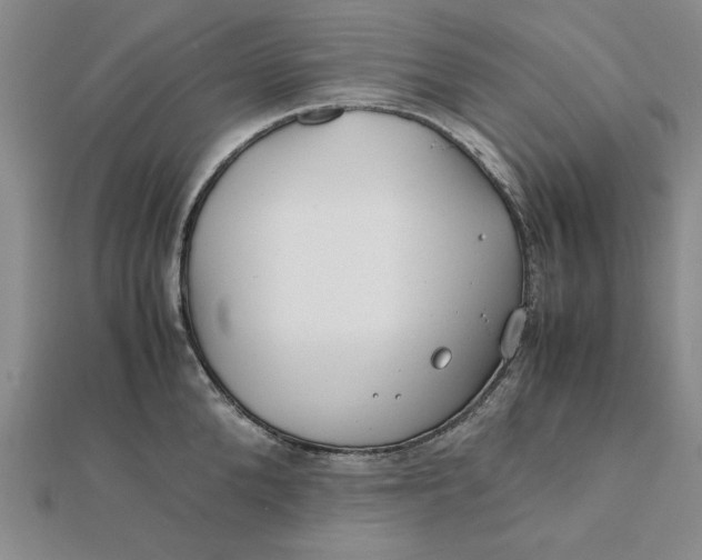 X0000112110904200908251208