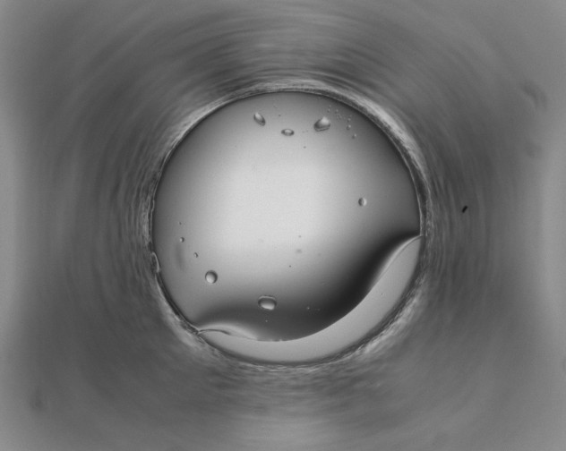 X0000112110905200908251208