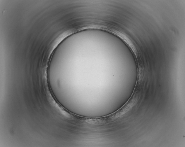 X0000112110906200908251208