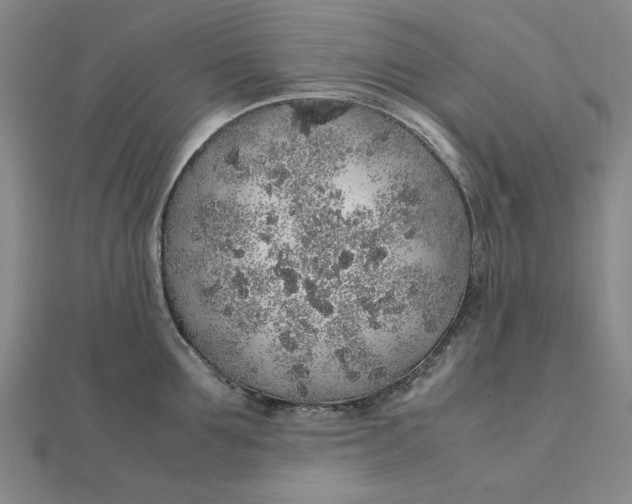 X0000112110907200908251208