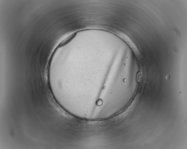 X0000112110908200908251208