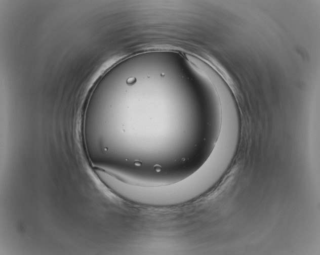 X0000112110909200908251208