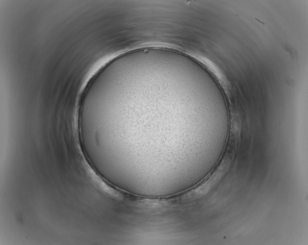 X0000112110910200908251208