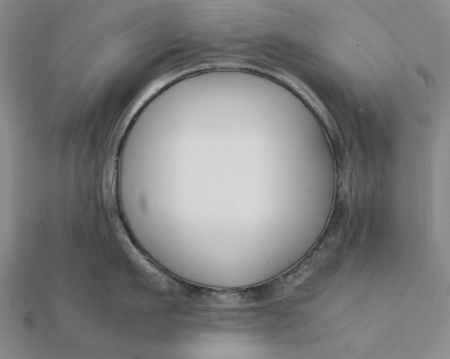 X0000112110911200908251208