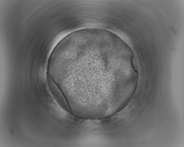 X0000112110912200908251208