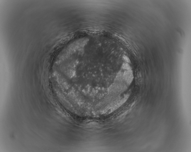 X0000112110913200908251208