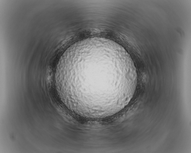 X0000112110914200908251208