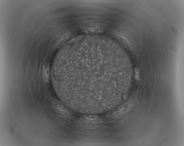 X0000112110915200908251208