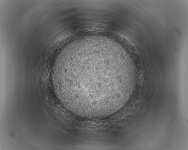 X0000112110917200908251208