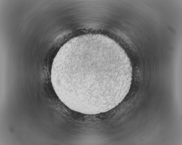 X0000112110918200908251208