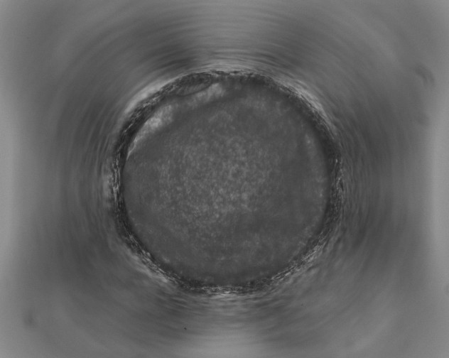 X0000112110920200908251208