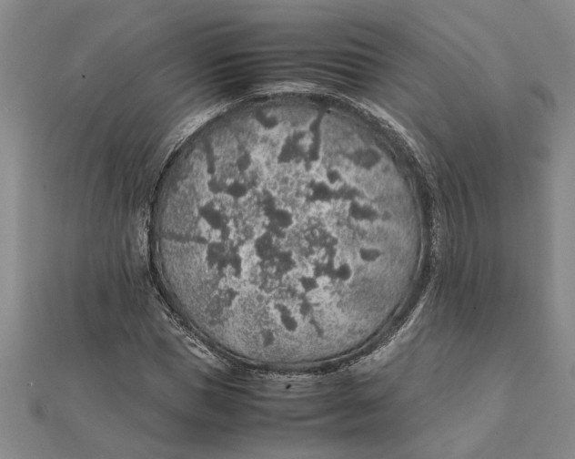 X0000112110921200908251208