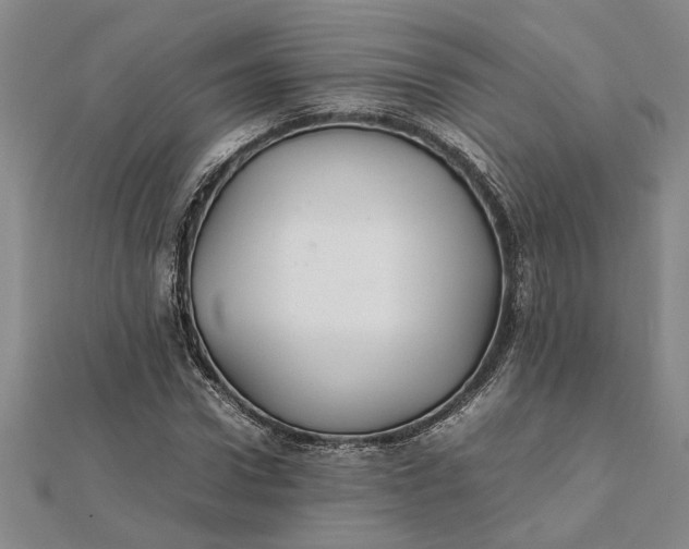 X0000112110922200908251208