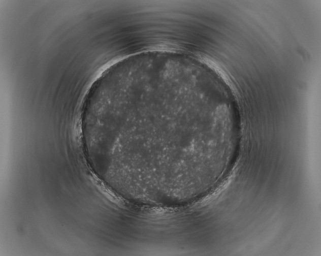 X0000112110923200908251208