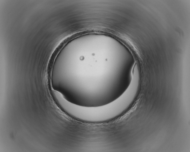 X0000112110924200908251208