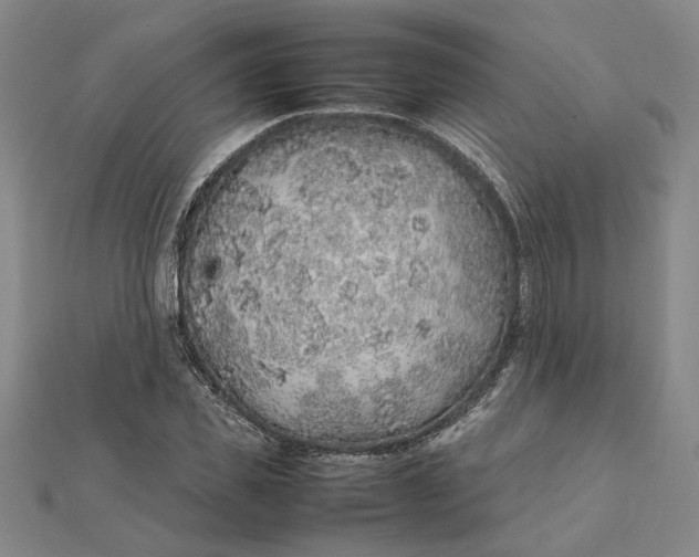 X0000112110925200908251208