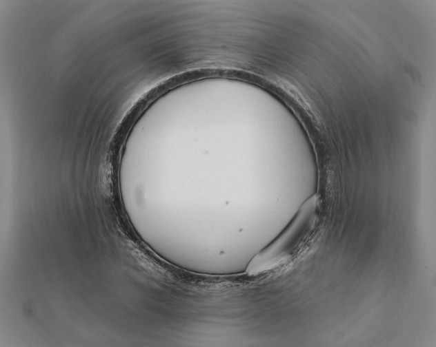 X0000112110926200908251208