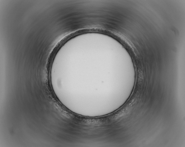 X0000112110927200908251208