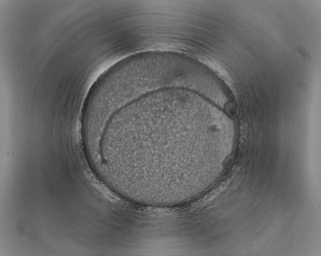 X0000112110928200908251208