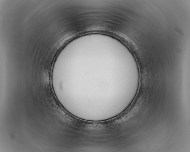 X0000112110929200908251208