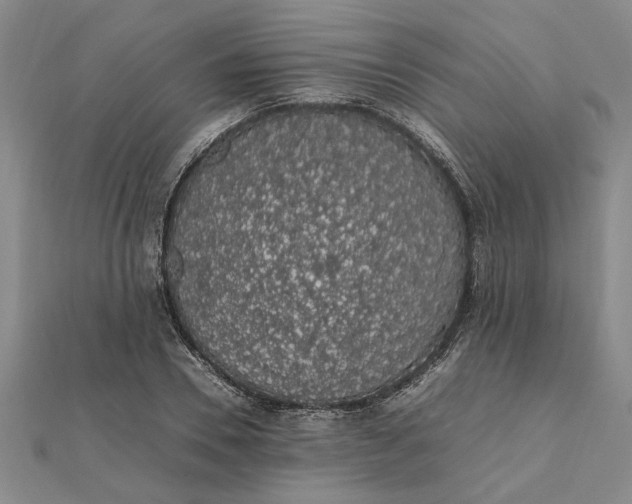 X0000112110930200908251208