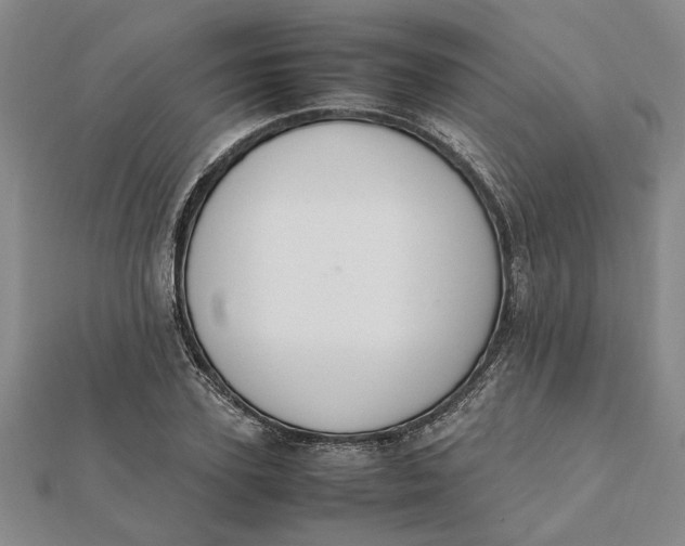 X0000112110931200908251208