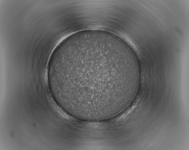 X0000112110932200908251208