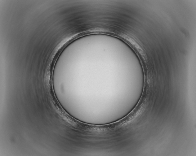 X0000112110933200908251208