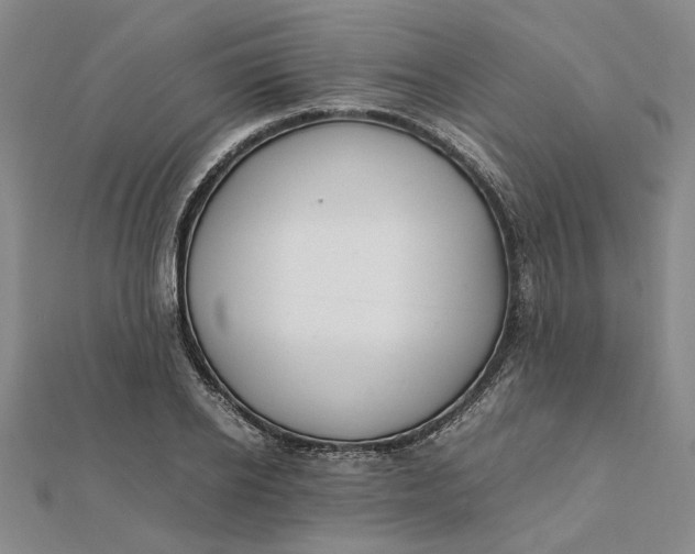 X0000112110934200908251208