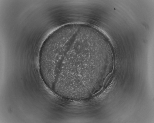 X0000112110935200908251208