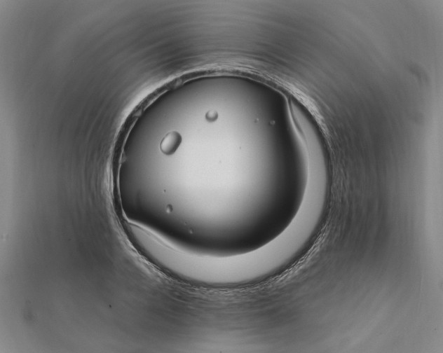 X0000112110936200908251208