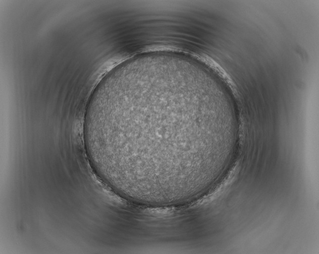 X0000112110937200908251208