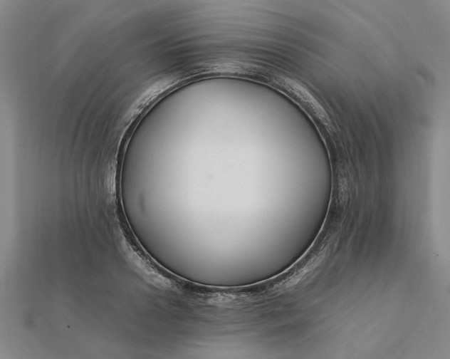 X0000112110938200908251208