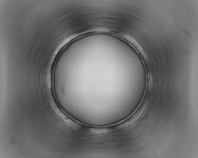 X0000112110939200908251208