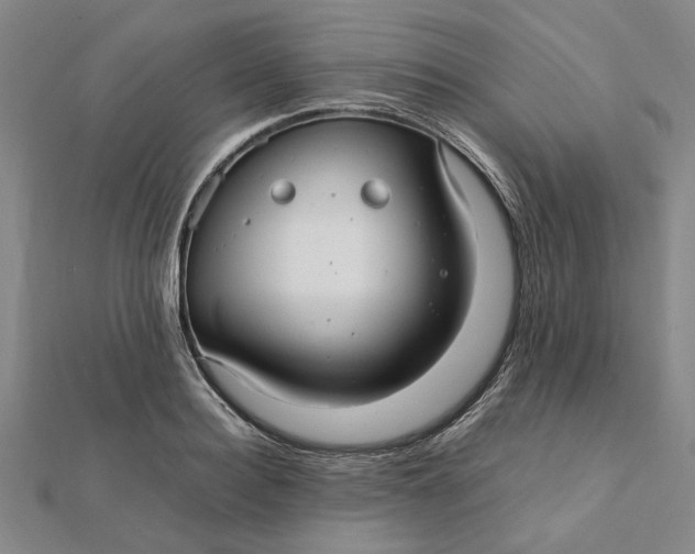 X0000112110940200908251208