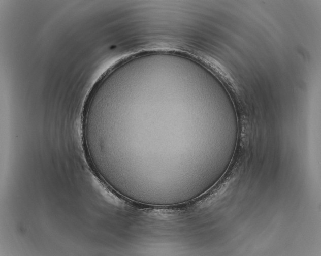 X0000112110942200908251208