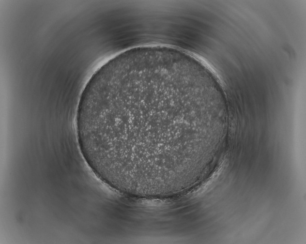 X0000112110943200908251208