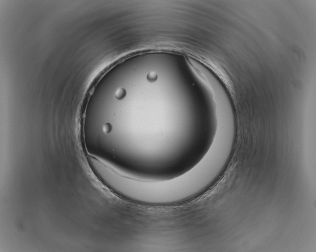 X0000112110944200908251208