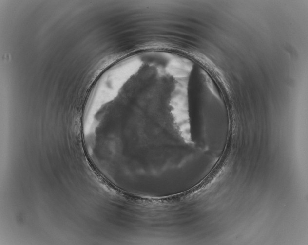 X0000112110945200908251208