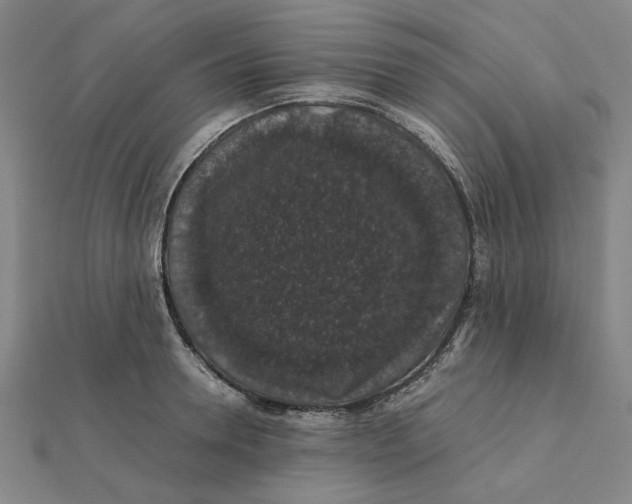 X0000112110946200908251208