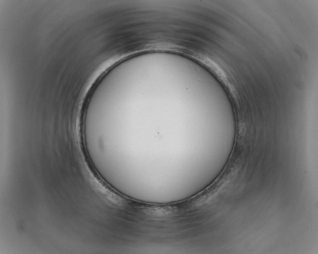 X0000112110947200908251208