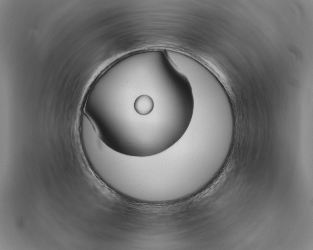 X0000112110948200908251208