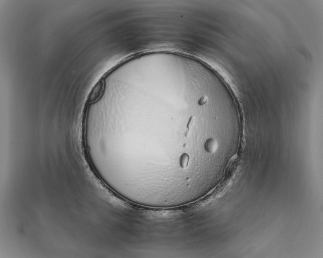 X0000112110949200908251208