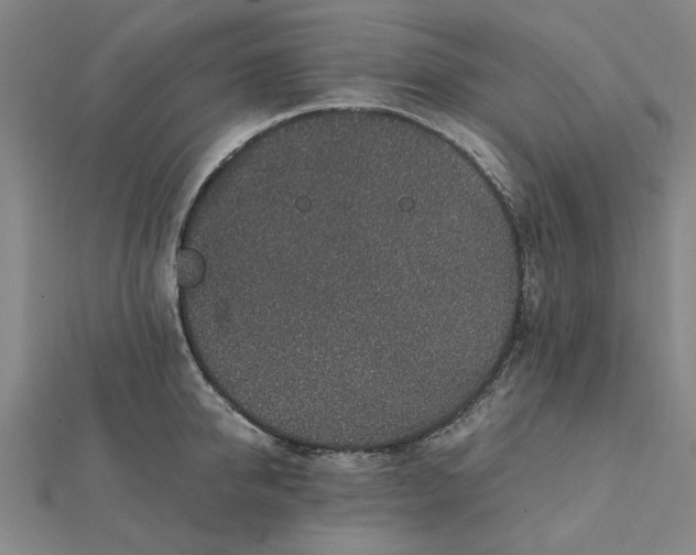 X0000112110950200908251208