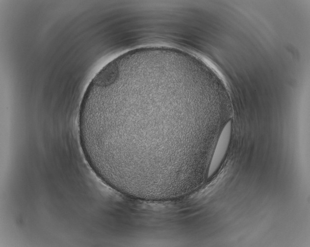 X0000112110951200908251208